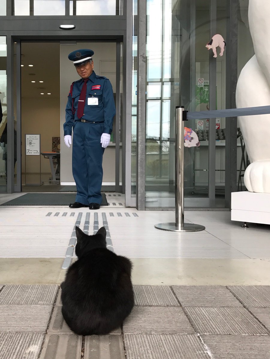 圖片來源:尾道市立美術館/twitter