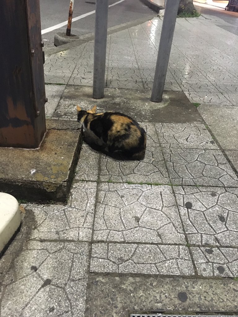 圖片來源:390giovanni66/twitter