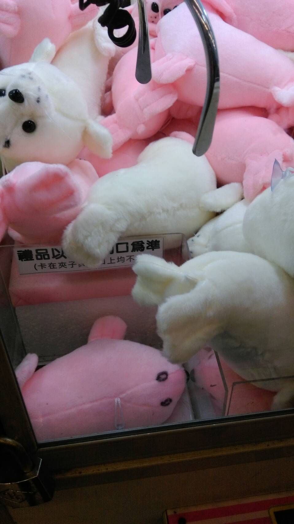 圖片來源:dcard