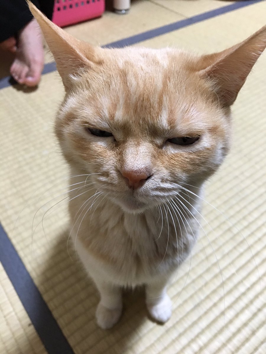 圖片來源:moZu_waTa/twitter