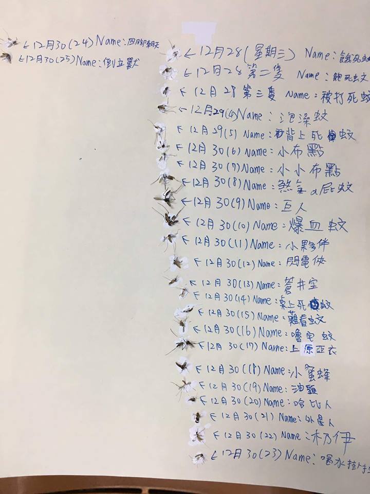 圖片來源:詹榮濬