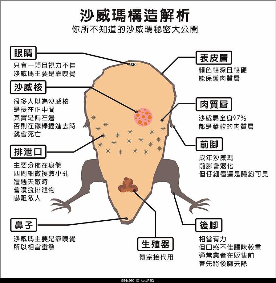 圖片來源:就業市場在台灣論壇