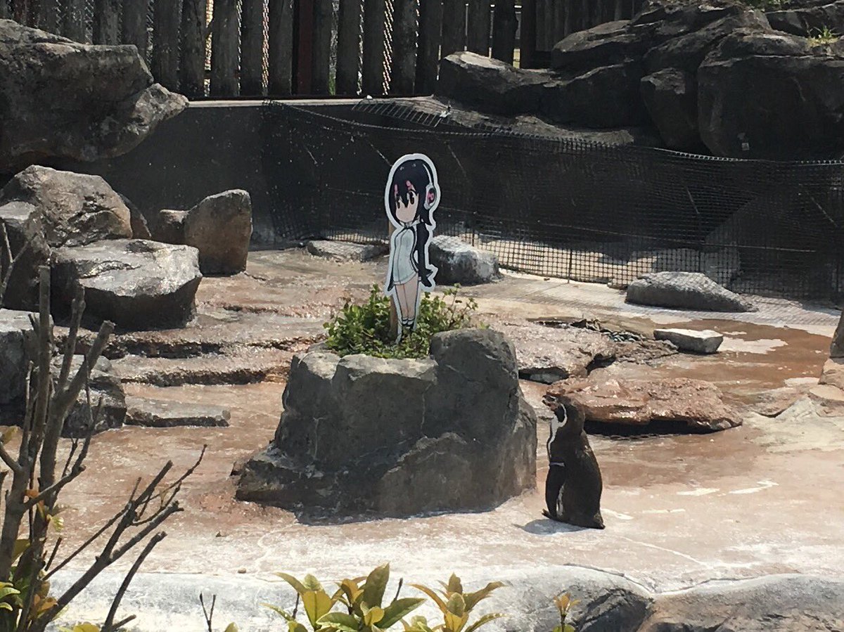 圖片來源：sisukaton／twitter
