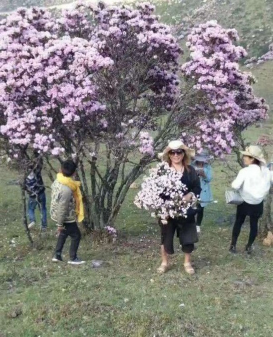 圖片來源:華西都市報
