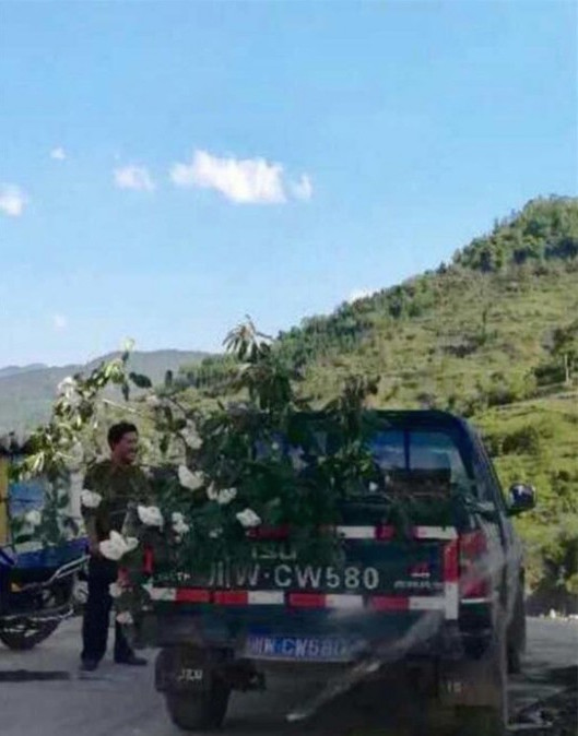 圖片來源:華西都市報