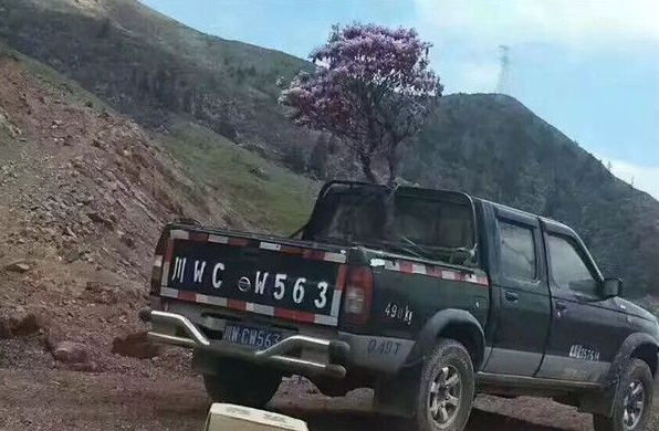 圖片來源:華西都市報