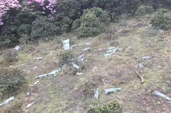 圖片來源:華西都市報