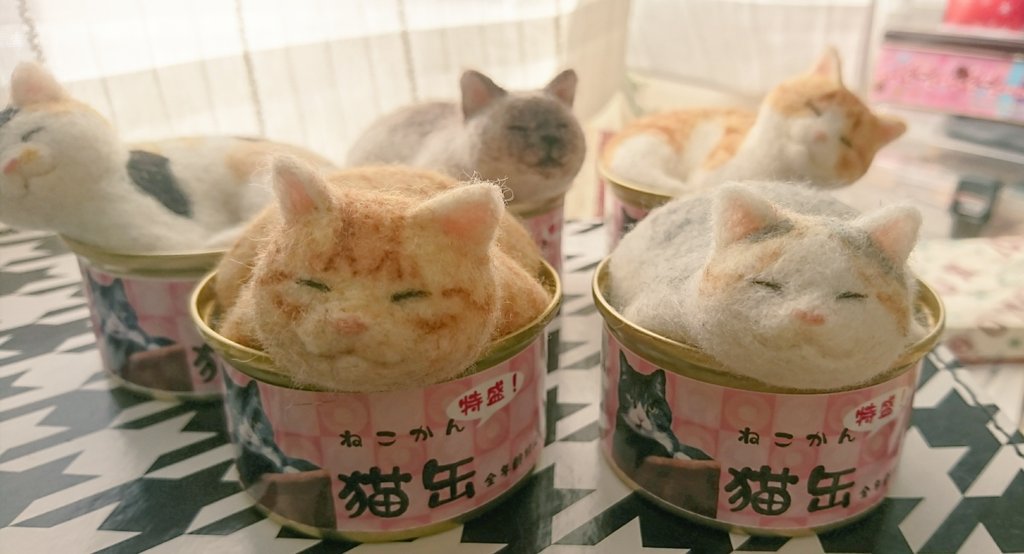 圖片來源:hinalifelt/twitter