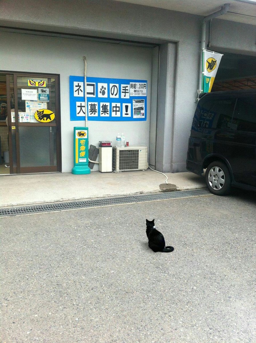 圖片來源:zogu8011/twitter