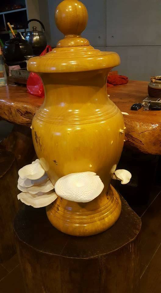 圖片來源：張國偉