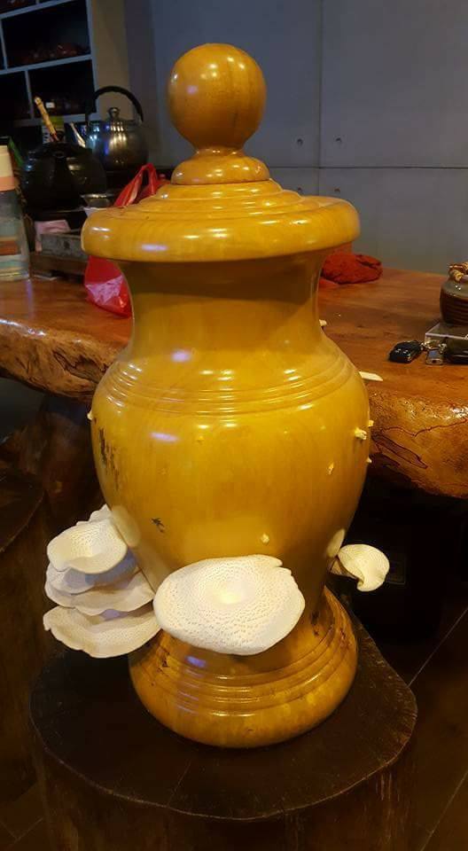 圖片來源：張國偉