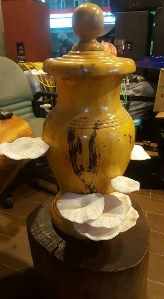 圖片來源：張國偉