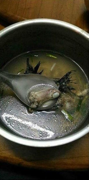 圖片來源:吳謹嘉