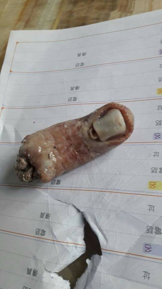 圖片來源:吳謹嘉