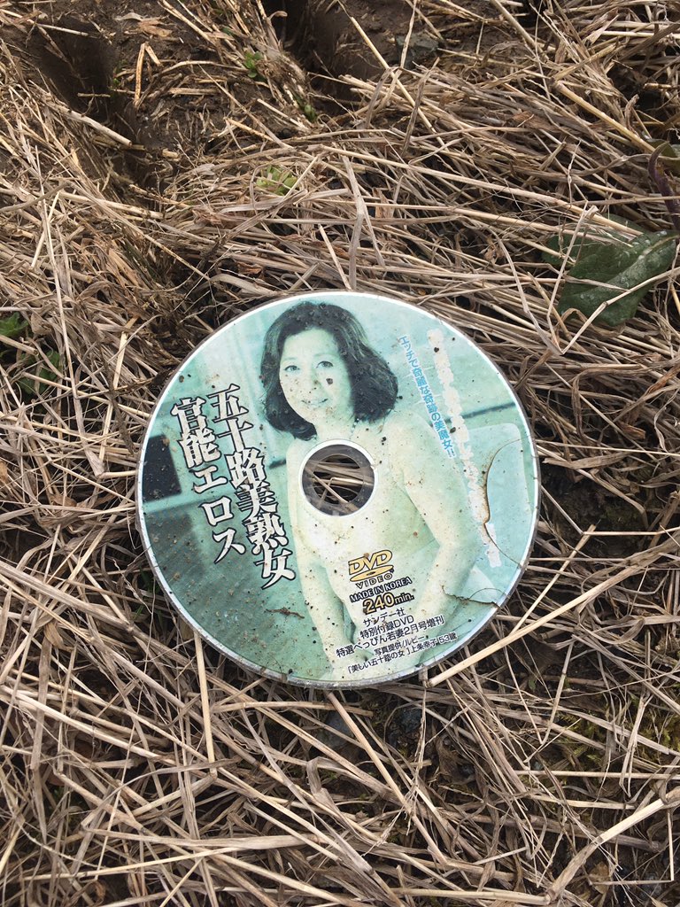 圖片來源:largus4532