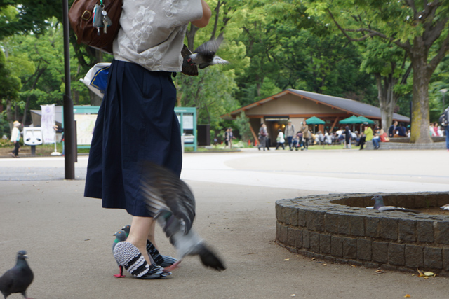圖片來源:Daily Portal