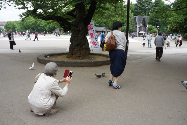 圖片來源:Daily Portal