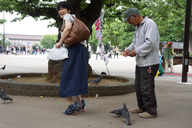 圖片來源:Daily Portal