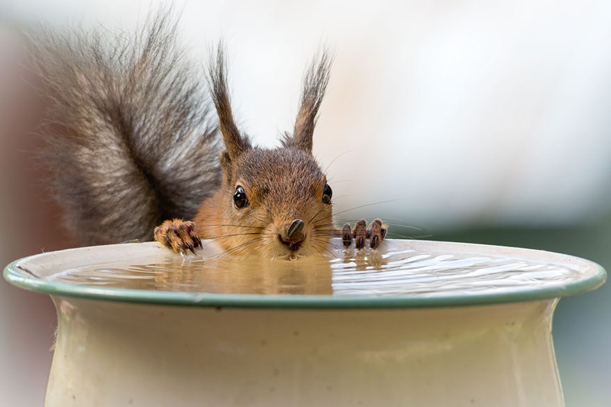 圖片來源:geert weggen