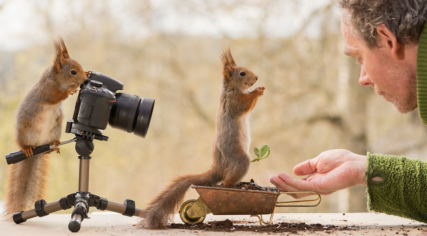 圖片來源:geert weggen
