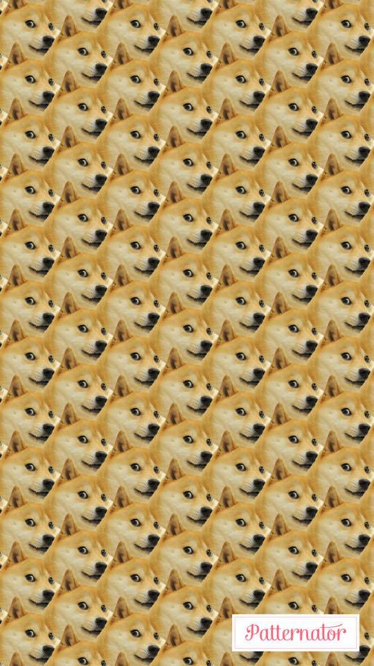 原圖來源：dogethedog／twitter